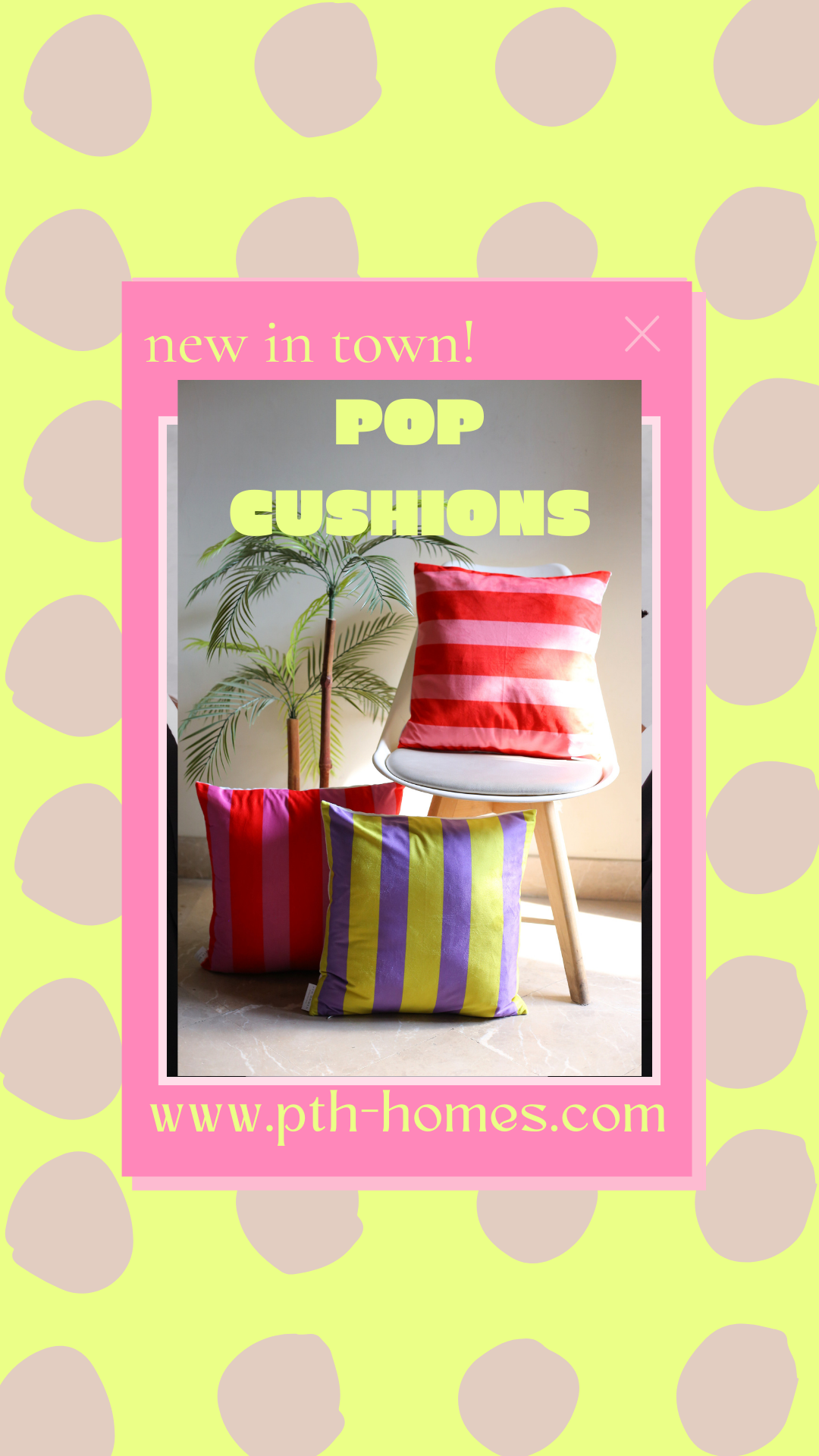 🪁 Basant in Lahore 2026 — A Sky Full of Colours &amp; Comfort at Home