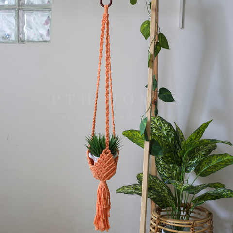 Macrame Plant Holder - Colored