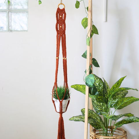 Macrame Plant Holder - Colored