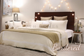Luxe Bordered Set- Cotton Sateen